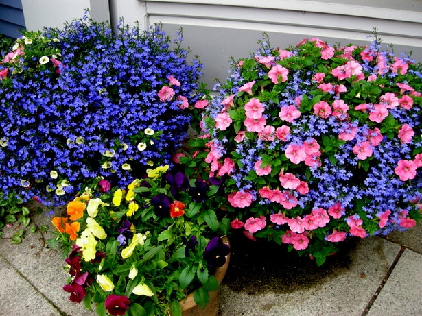 annual-flower-container-ideas-52_19 Годишни идеи за цветни контейнери