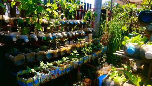 backyard-container-gardening-ideas-84_10 Двор контейнер градинарство идеи