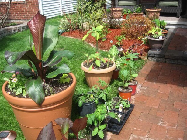 backyard-container-gardening-ideas-84_16 Двор контейнер градинарство идеи