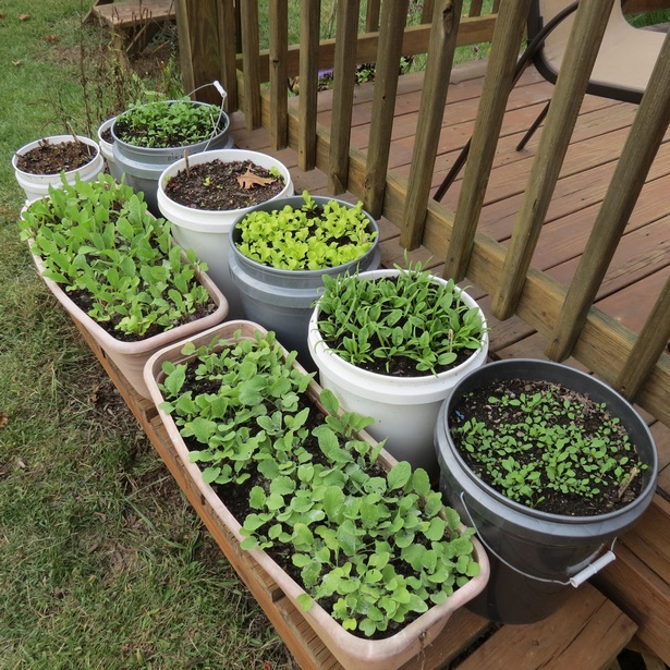backyard-container-gardening-ideas-84_17 Двор контейнер градинарство идеи