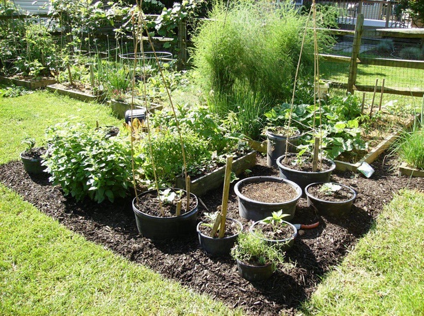 backyard-container-gardening-ideas-84_5 Двор контейнер градинарство идеи