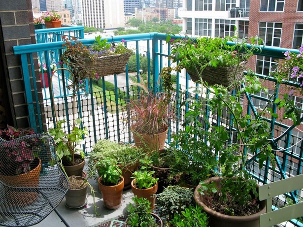 Балкон градинарство за начинаещи