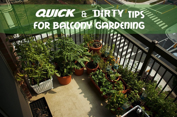 balcony-gardening-for-beginners-12_16 Балкон градинарство за начинаещи