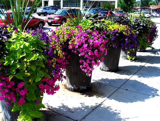 beautiful-outdoor-planters-17_3 Красиви външни саксии