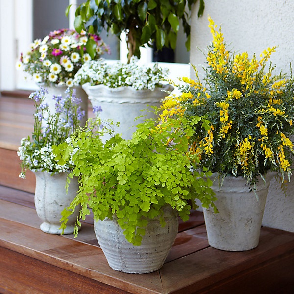 beautiful-plant-pots-02_5 Красиви саксии за растения