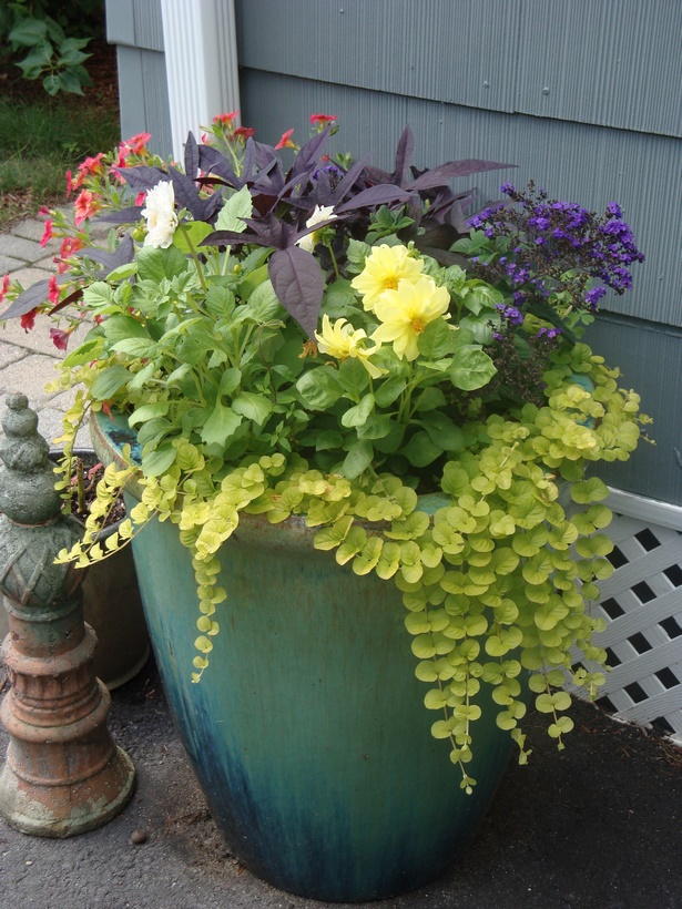 beautiful-planters-outdoor-61_10 Красиви саксии на открито