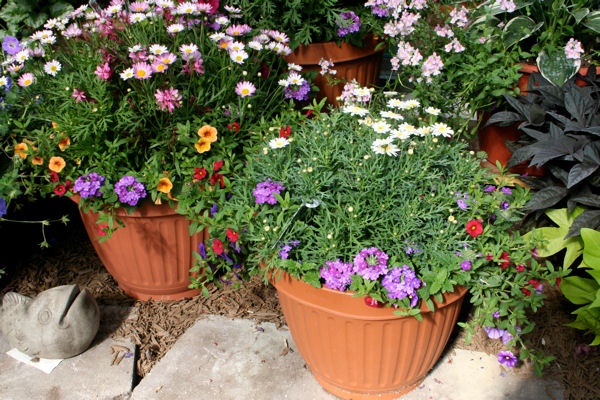 beautiful-pots-for-plants-27_10 Красиви саксии за растения