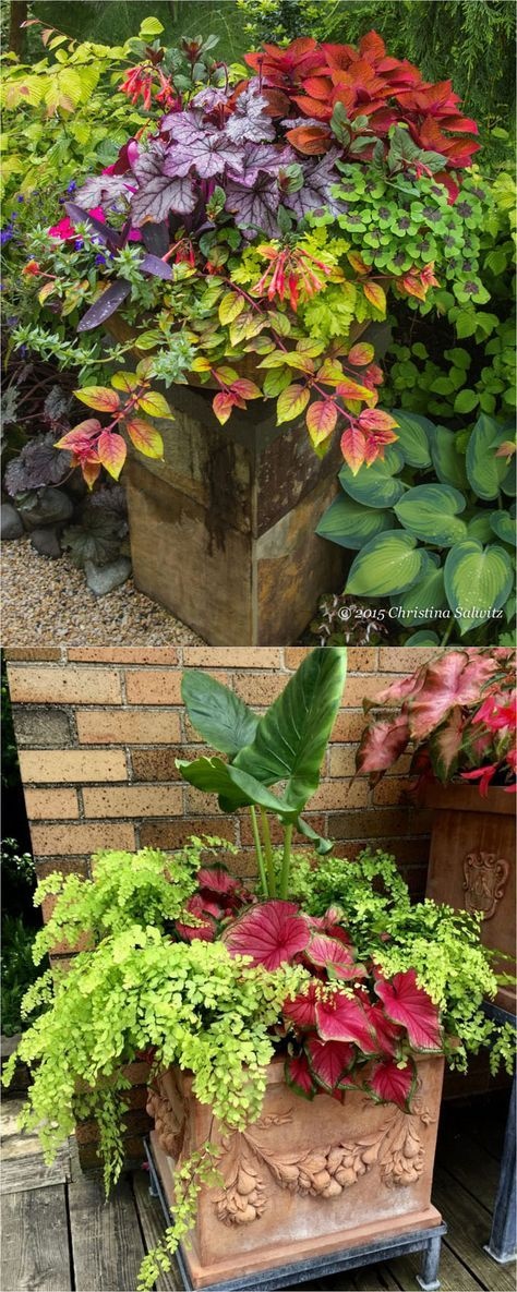 beautiful-pots-for-plants-27_14 Красиви саксии за растения