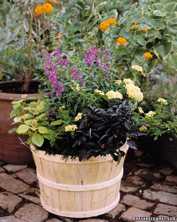 beautiful-pots-for-plants-27_19 Красиви саксии за растения