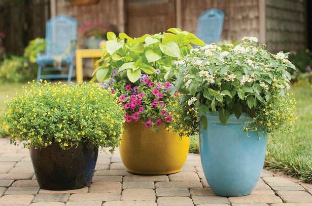 beautiful-pots-for-plants-27_7 Красиви саксии за растения