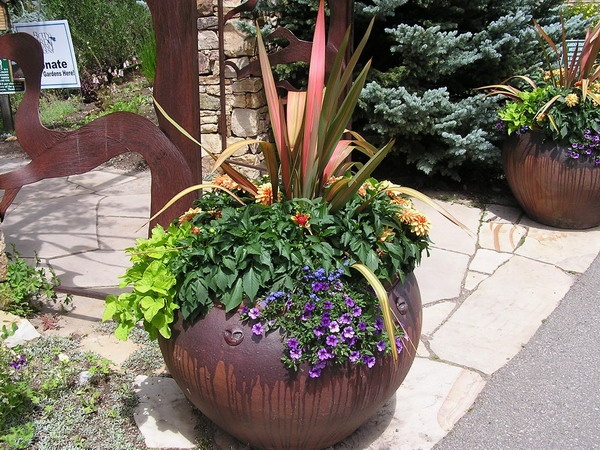 beautiful-potted-plant-arrangements-12 Красиви саксийни растения