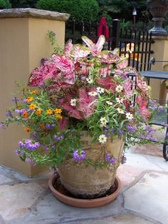 big-flower-pot-arrangements-38_4 Големи саксии за цветя
