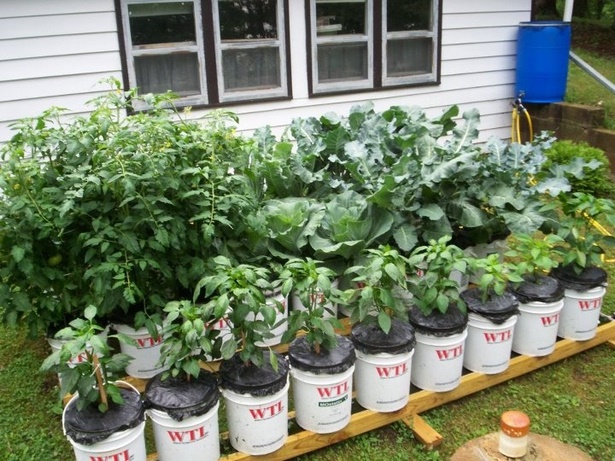 Идеи за кофа за градинарство