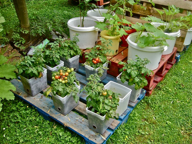 bucket-gardening-ideas-50_11 Идеи за кофа за градинарство