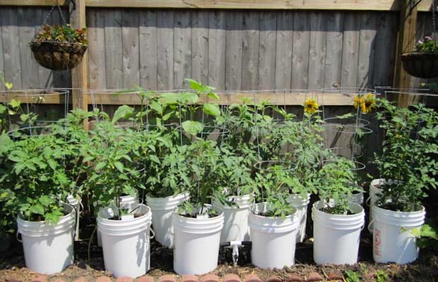 bucket-gardening-ideas-50_17 Идеи за кофа за градинарство