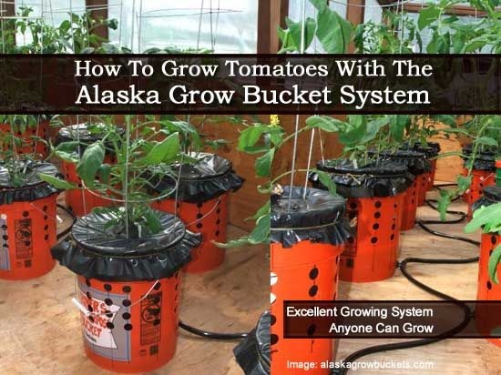 bucket-gardening-ideas-50_18 Идеи за кофа за градинарство