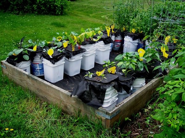 bucket-gardening-ideas-50_2 Идеи за кофа за градинарство