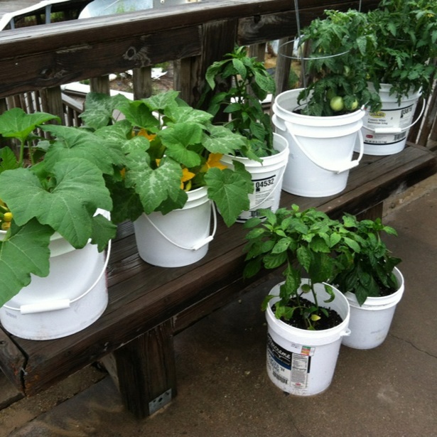 bucket-gardening-ideas-50_5 Идеи за кофа за градинарство