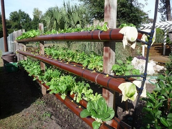 bucket-gardening-ideas-50_9 Идеи за кофа за градинарство