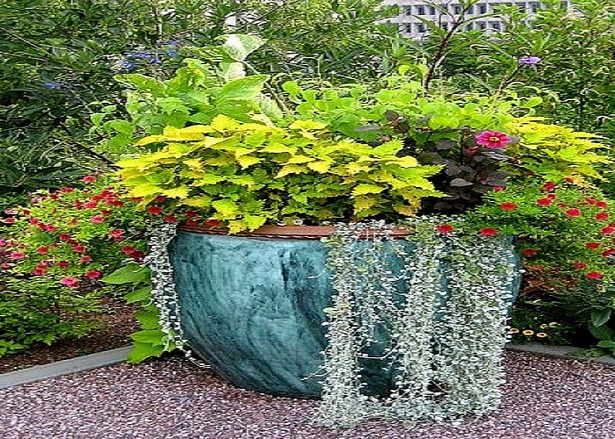container-flower-garden-ideas-82_5 Контейнер цветна градина идеи