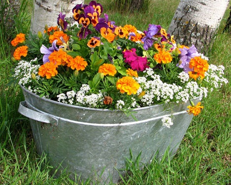 container-flower-gardening-32_17 Контейнер цвете градинарство