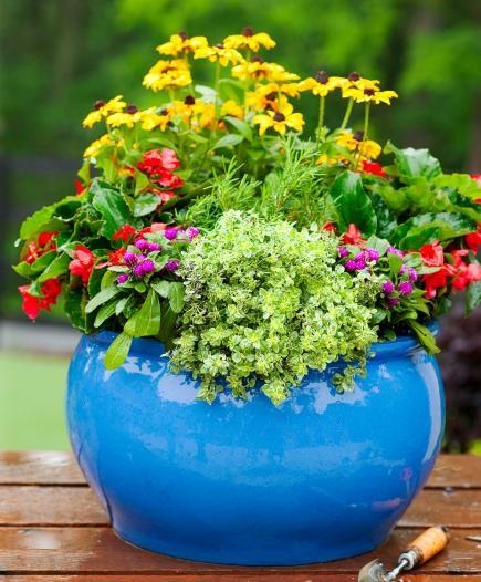 container-flower-gardening-32_3 Контейнер цвете градинарство