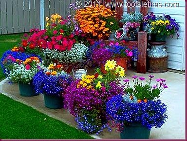 container-flower-gardening-32_4 Контейнер цвете градинарство