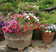 container-flower-gardening-32_8 Контейнер цвете градинарство