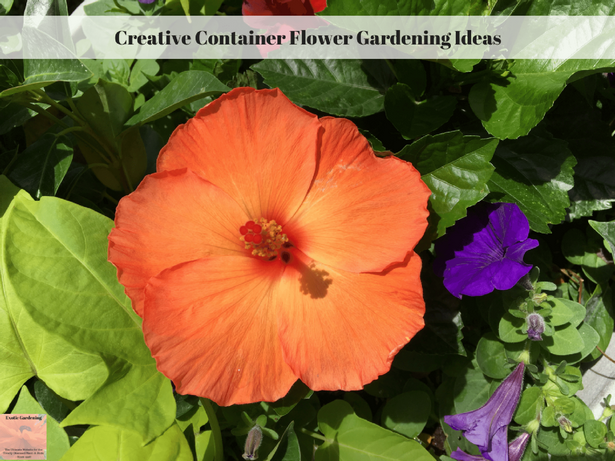container-flower-ideas-76 Контейнер цвете идеи