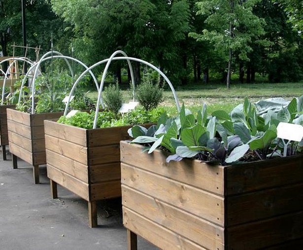 container-garden-design-ideas-38_8 Контейнер градински дизайн идеи