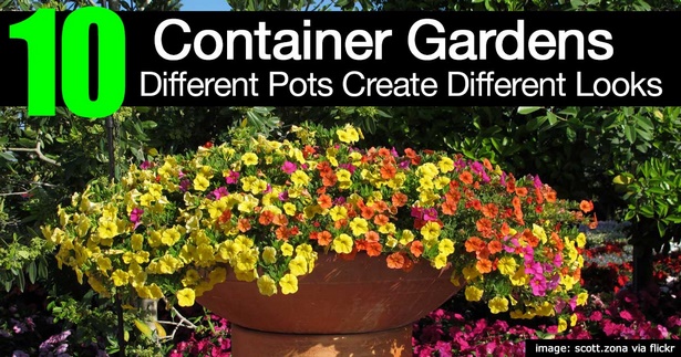 container-garden-pots-40_18 Контейнер градински саксии