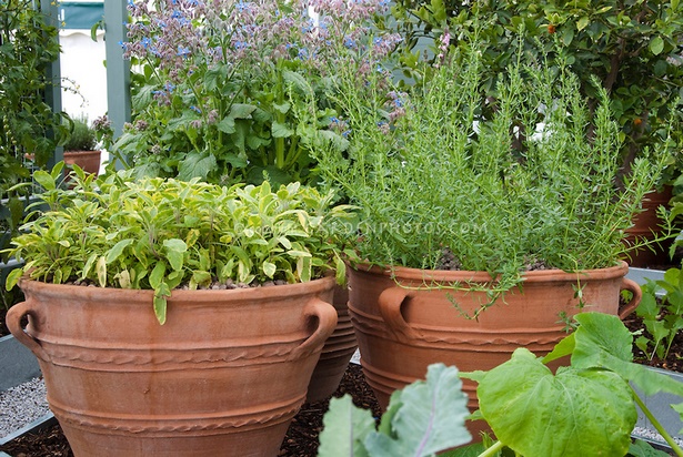 container-garden-pots-40_20 Контейнер градински саксии