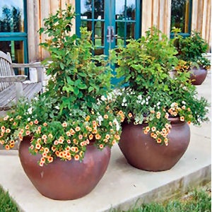 container-garden-pots-40_5 Контейнер градински саксии