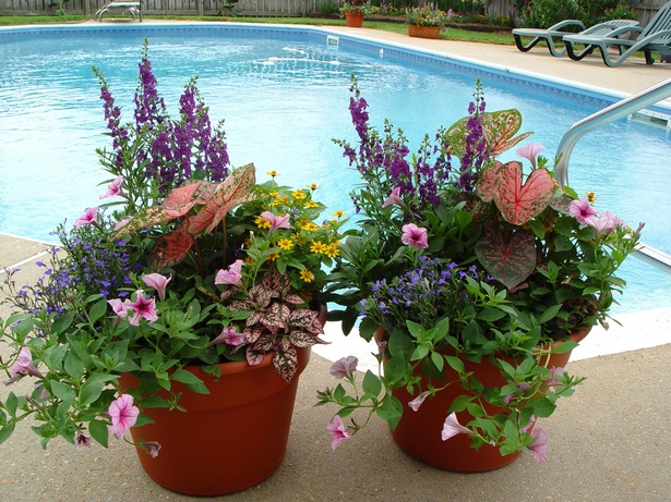 container-gardening-ideas-for-flowers-91 Контейнер градинарство идеи за цветя