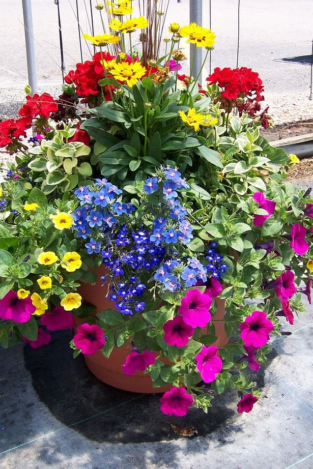container-gardening-ideas-for-flowers-91_12 Контейнер градинарство идеи за цветя