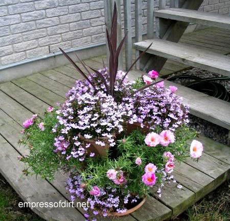 container-gardening-ideas-for-flowers-91_14 Контейнер градинарство идеи за цветя