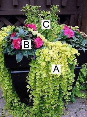 container-gardening-ideas-for-flowers-91_8 Контейнер градинарство идеи за цветя