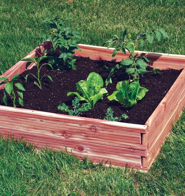 container-gardening-supplies-21_15 Контейнер градинарство консумативи