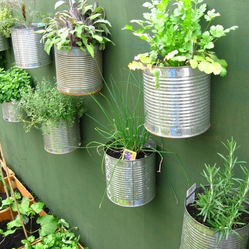 container-gardening-vegetables-and-herbs-24_6 Контейнер градинарство зеленчуци и билки