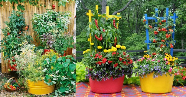 container-gardening-vegetables-ideas-20 Контейнер градинарство зеленчуци идеи