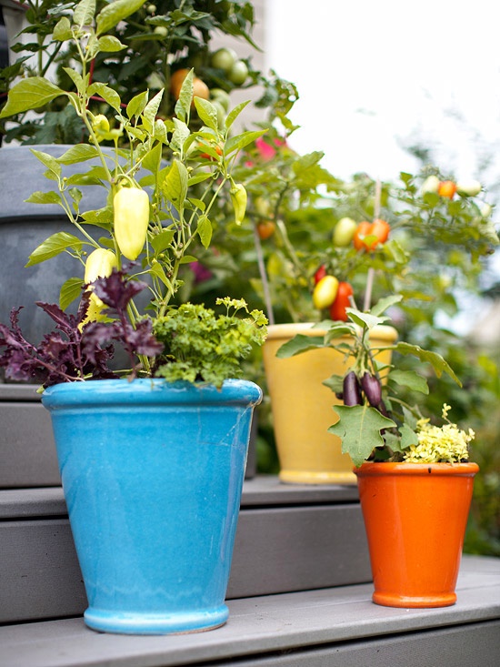 container-gardening-vegetables-ideas-20_8 Контейнер градинарство зеленчуци идеи