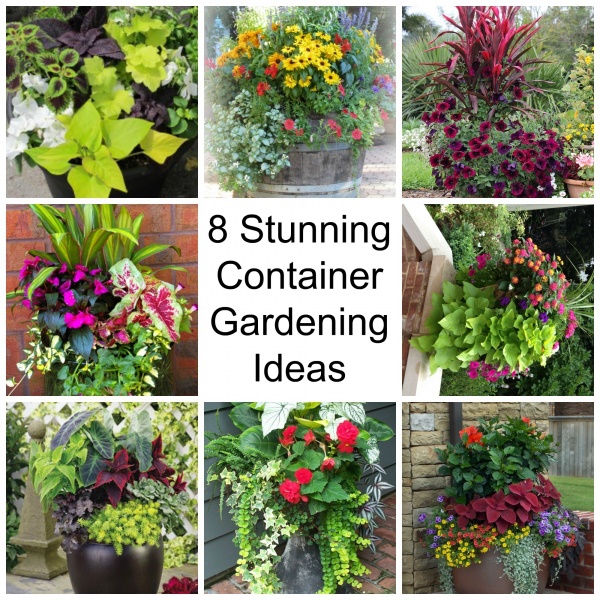 container-ideas-for-gardening-58_20 Контейнерни идеи за градинарство