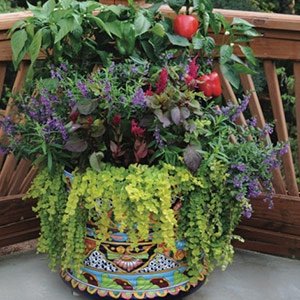 container-pot-gardening-29 Контейнер саксия градинарство