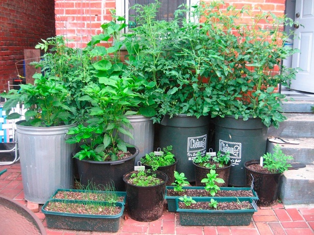 container-pot-gardening-29_8 Контейнер саксия градинарство