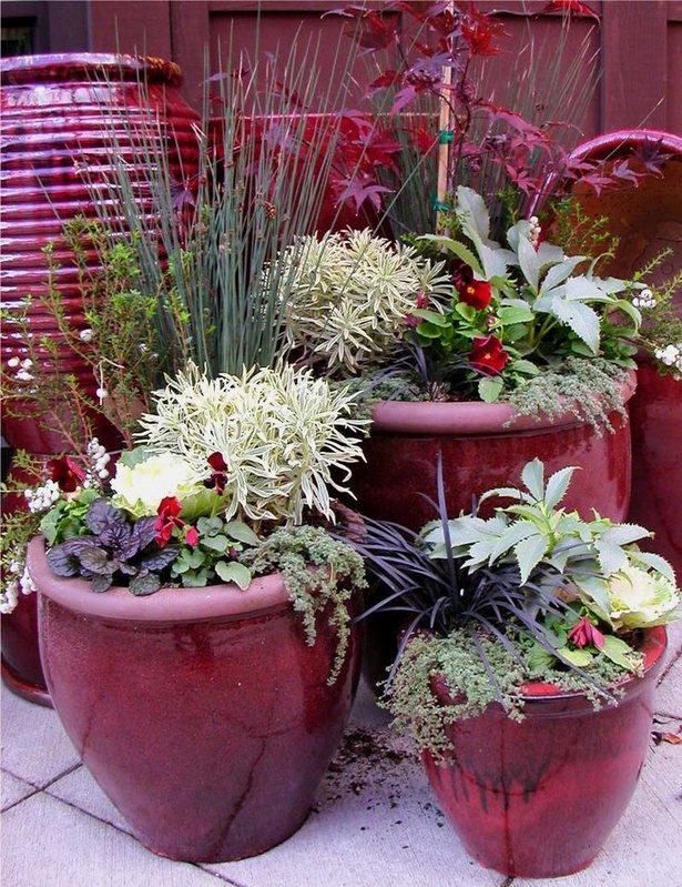 container-pots-for-plants-34_8 Контейнерни саксии за растения