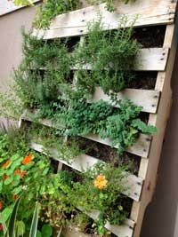container-vegetable-gardening-59_10 Контейнер зеленчуково градинарство