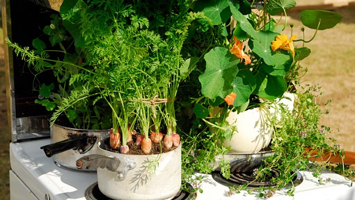 container-vegetable-gardening-59_14 Контейнер зеленчуково градинарство