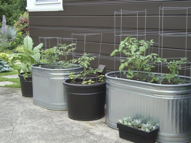 container-vegetable-gardening-59_19 Контейнер зеленчуково градинарство