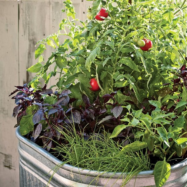 container-veggie-garden-ideas-77_19 Контейнер зеленчукова градина идеи