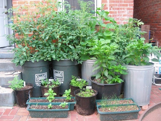 container-veggie-garden-ideas-77_20 Контейнер зеленчукова градина идеи